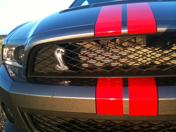 Stang