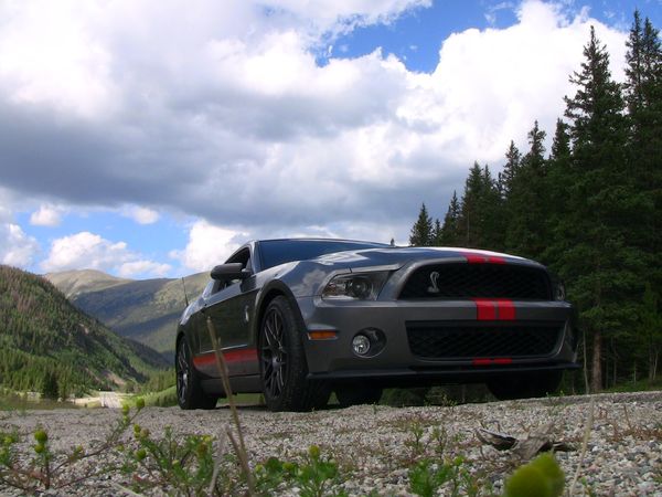 Shelby