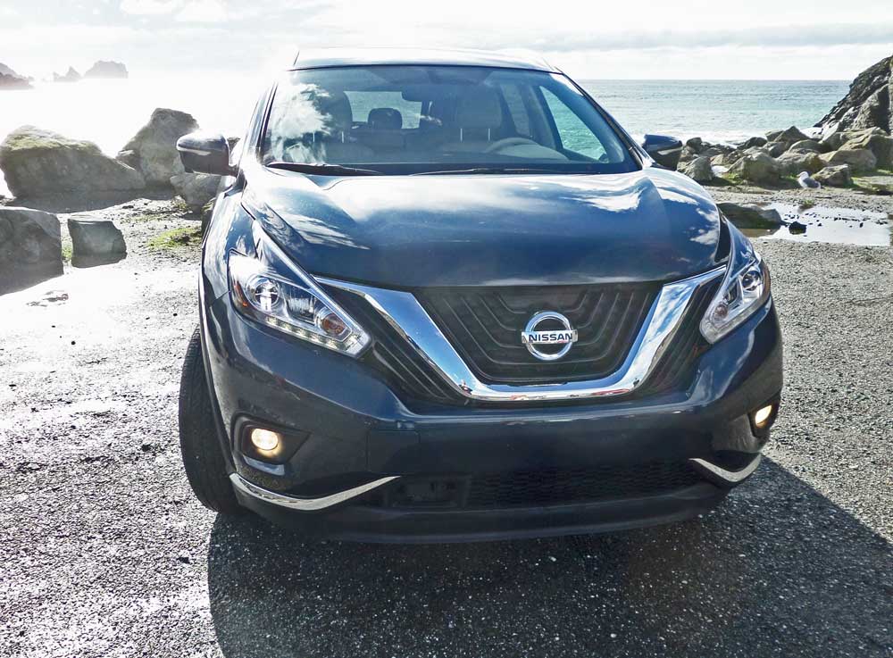 2009 Nissan murano nose mask #10