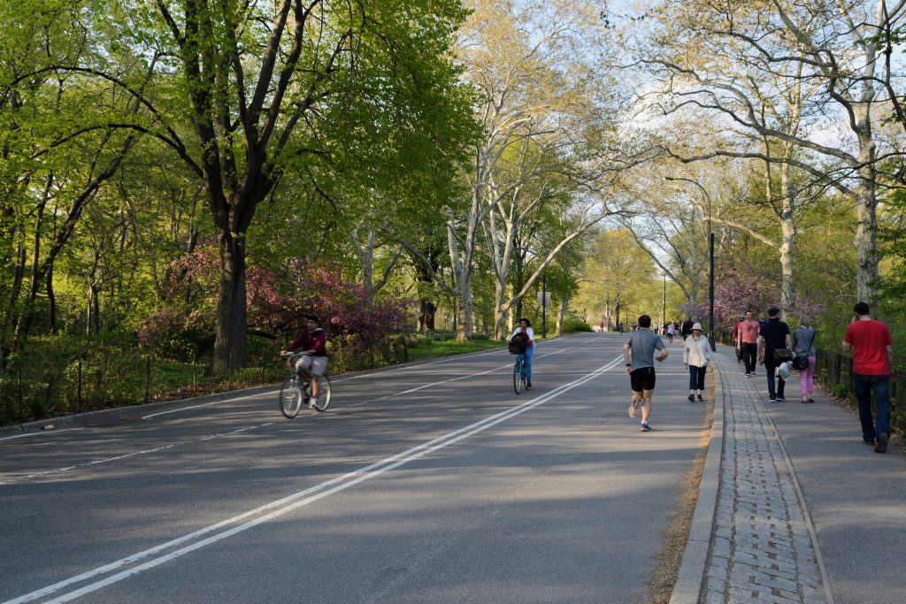 Ban cars - New York City Central Park