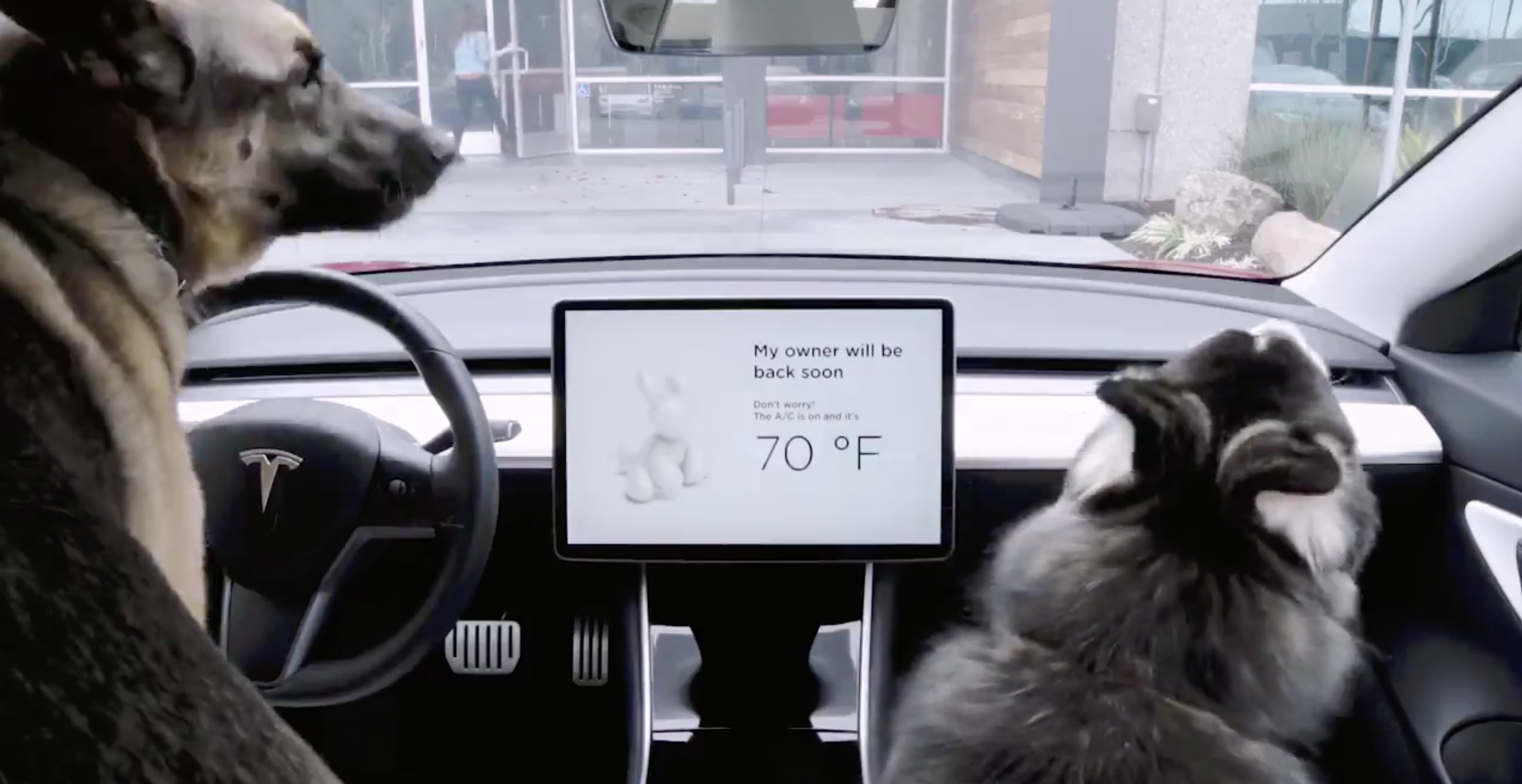 Los Angeles Auto Show 2017 >> Tesla Rolls Out 'Dog Mode' To Keep Pets Safe And Comfortable - The Fast Lane Car Los Angeles Auto Show 2017 >> Tesla Rolls Out 'Dog Mode' To Keep Pets Safe And Comfortable - The Fast Lane Car